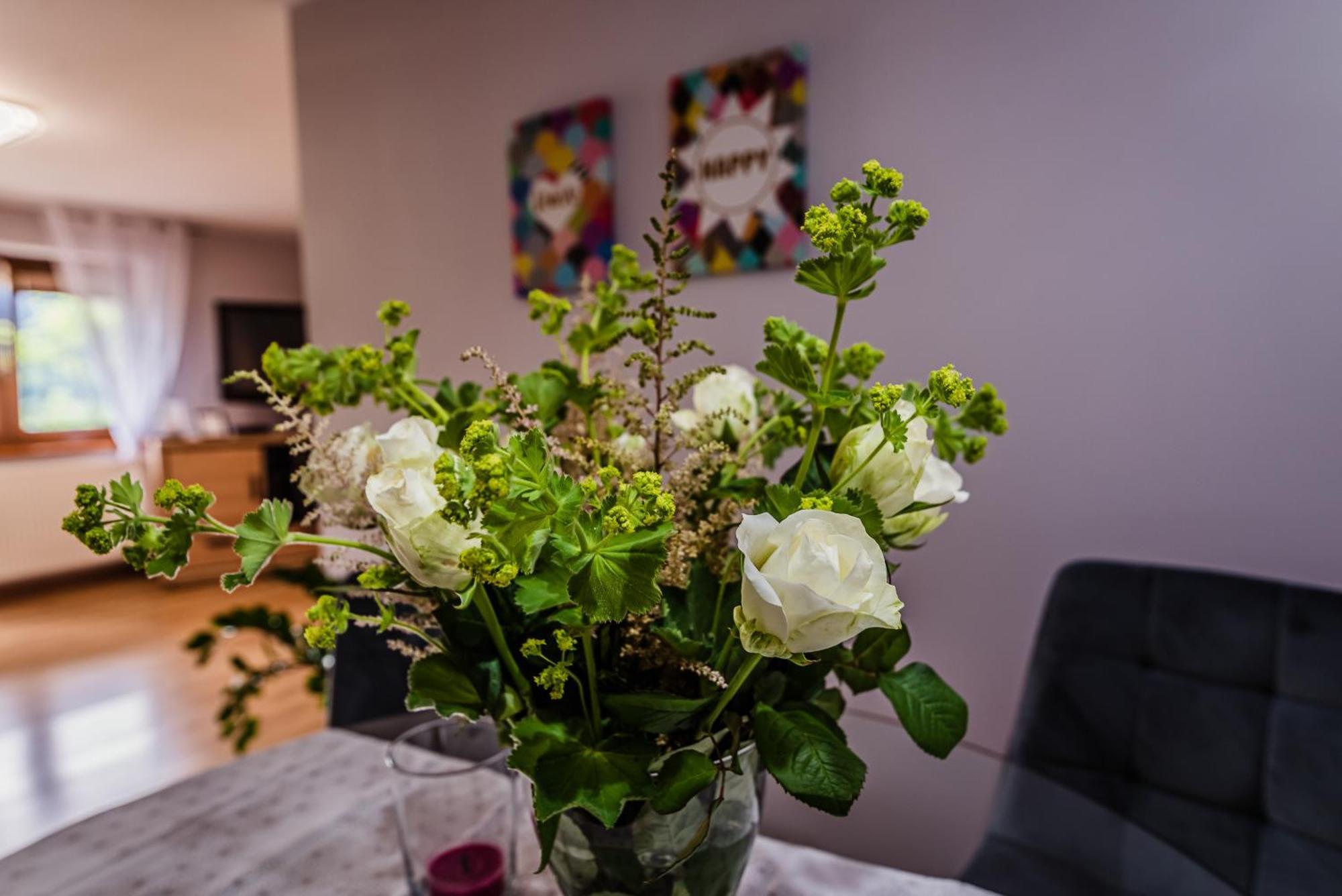Apartamenty Widok Шавница Экстерьер фото