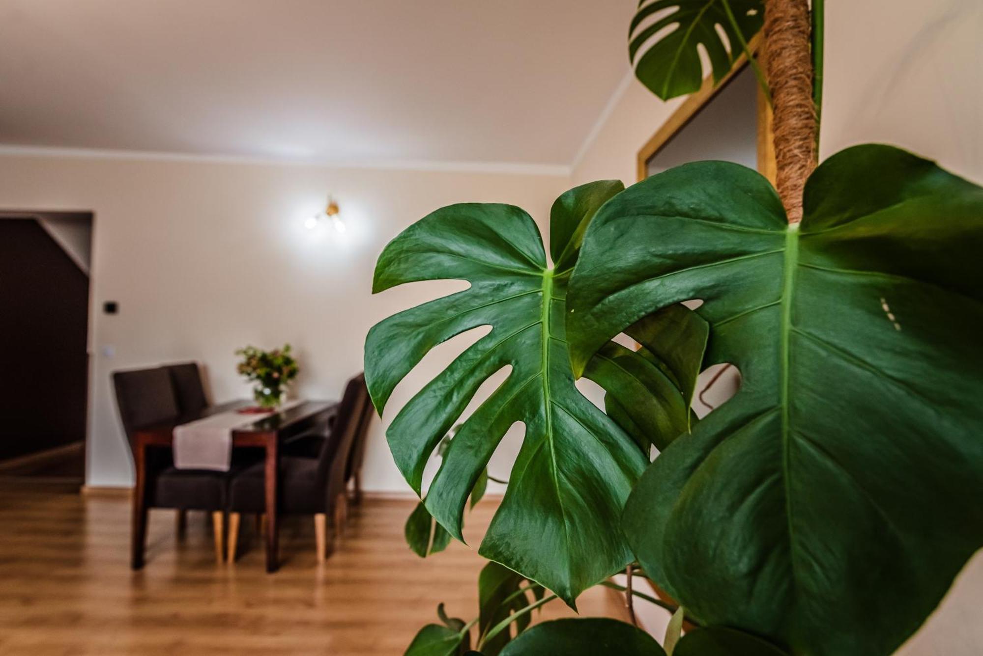 Apartamenty Widok Шавница Экстерьер фото