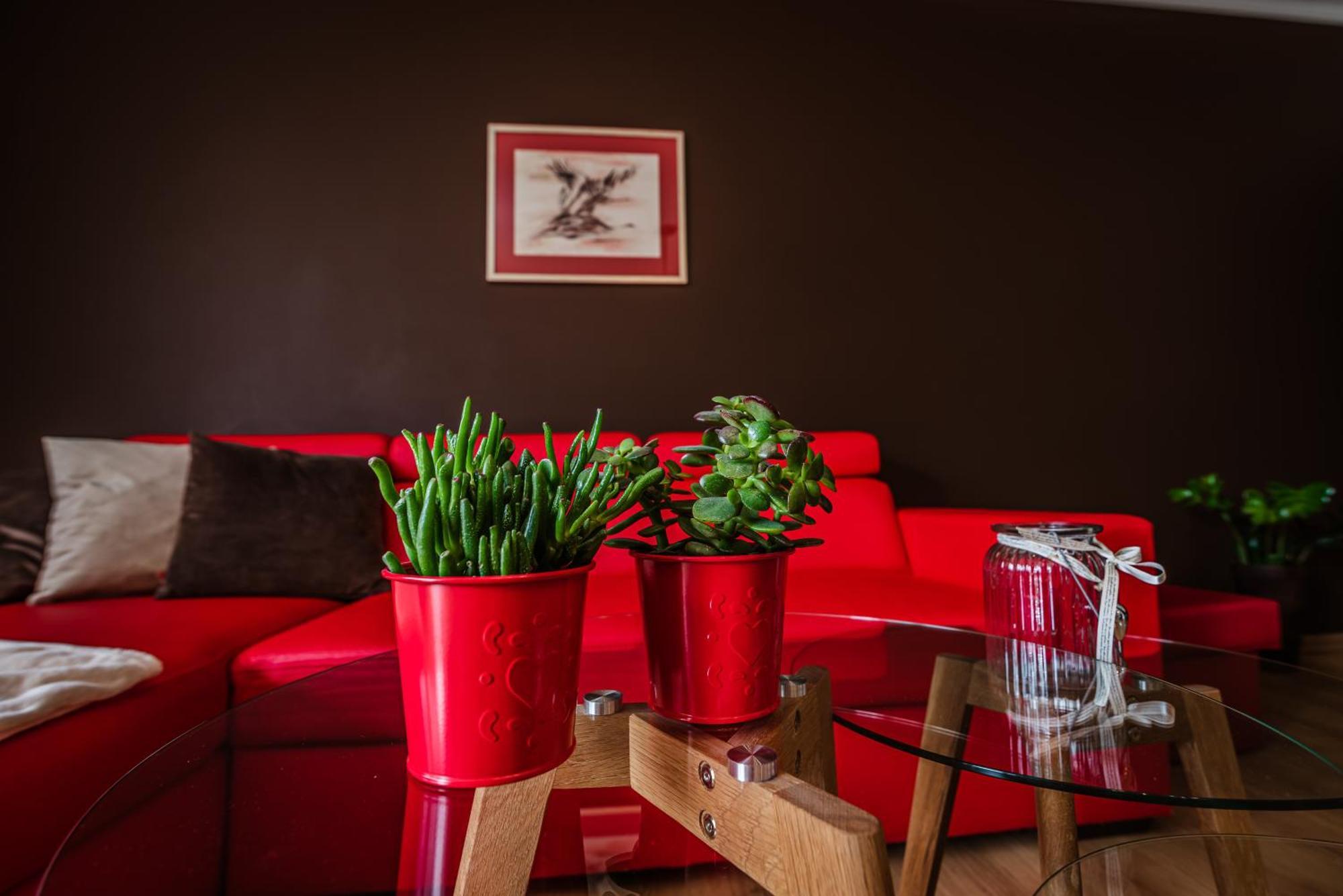 Apartamenty Widok Шавница Экстерьер фото